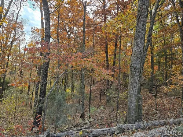 $59,999 | 0 Mineral Drive, Houston, MO 65483