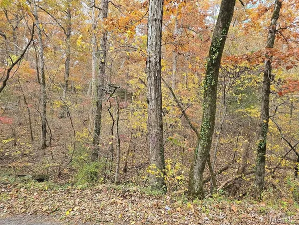 $59,999 | 0 Mineral Drive, Houston, MO 65483