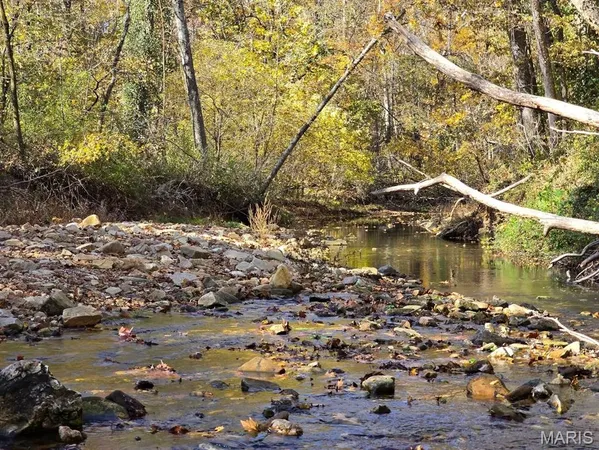 $59,999 | 0 Mineral Drive, Houston, MO 65483