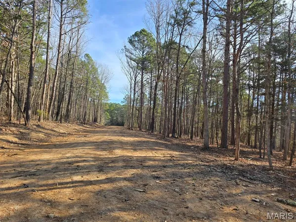 $59,999 | 0 Mineral Drive, Houston, MO 65483