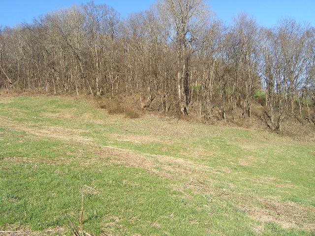 1 Grizzly Road Culleoka, TN 38451 - Photo 2 of 16 Gallery Image 2