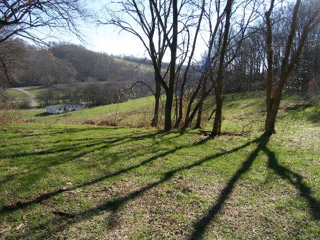 1 Grizzly Road Culleoka, TN 38451 - Photo 11 of 16 Gallery Image 11