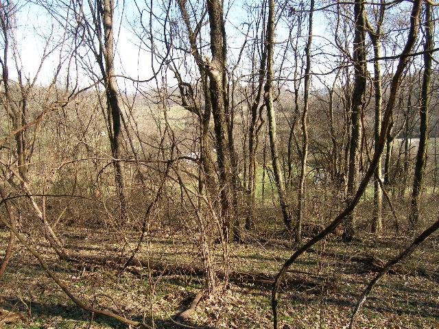 1 Grizzly Road Culleoka, TN 38451 - Photo 12 of 16 Gallery Image 12
