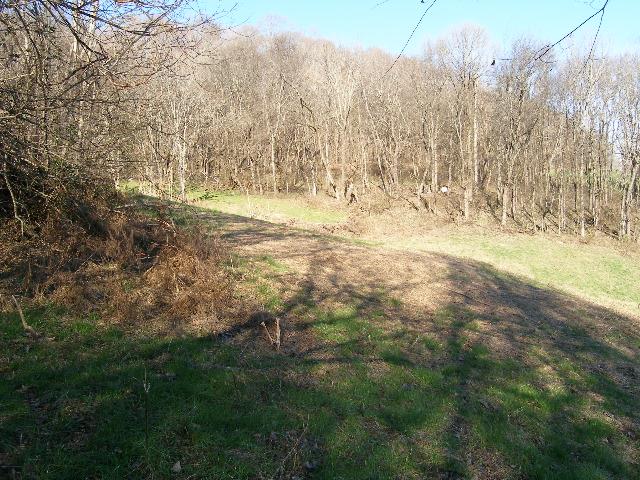 1 Grizzly Road Culleoka, TN 38451 - Photo 15 of 16 Gallery Image 15