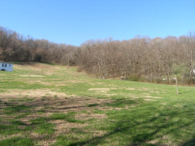 1 Grizzly Road Culleoka, TN 38451 - Photo 7 of 16 Gallery Image 7