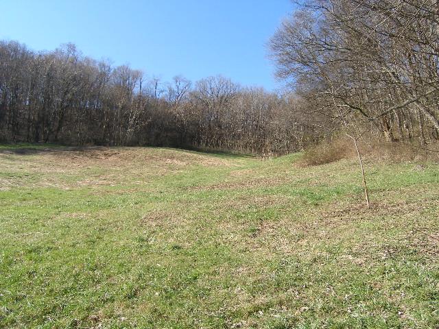 1 Grizzly Road Culleoka, TN 38451 - Photo 8 of 16 Gallery Image 8