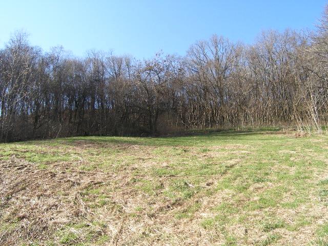 1 Grizzly Road Culleoka, TN 38451 - Photo 9 of 16 Gallery Image 9