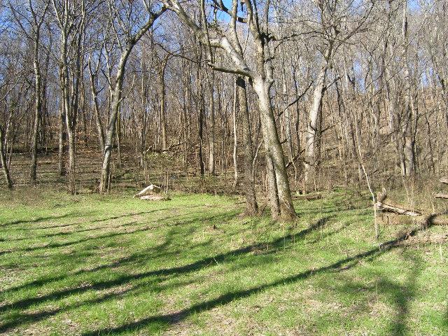 1 Grizzly Road Culleoka, TN 38451 - Photo 10 of 16 Gallery Image 10