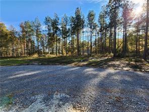 229 Newsome Road Pineville, LA 71360 - Photo 4 of 15