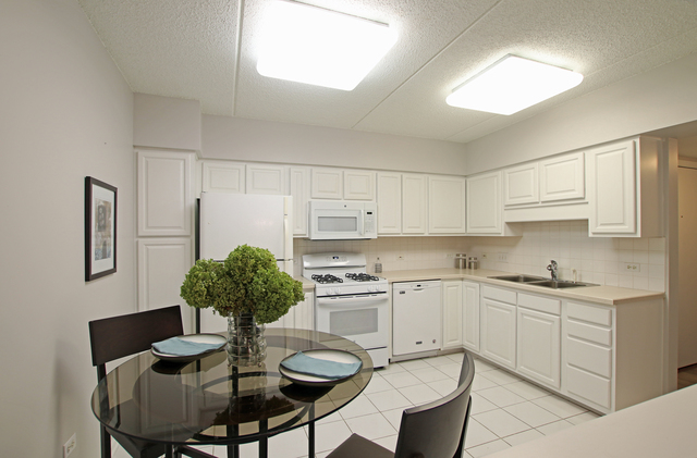 750 Pearson Street, Unit 809 Des Plaines, IL 60016 - Photo 11 of 12