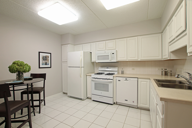 750 Pearson Street, Unit 809 Des Plaines, IL 60016 - Photo 10 of 12