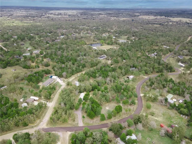 a view of a forest with a street