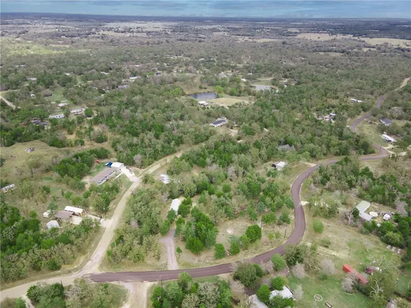 a view of a forest with a street