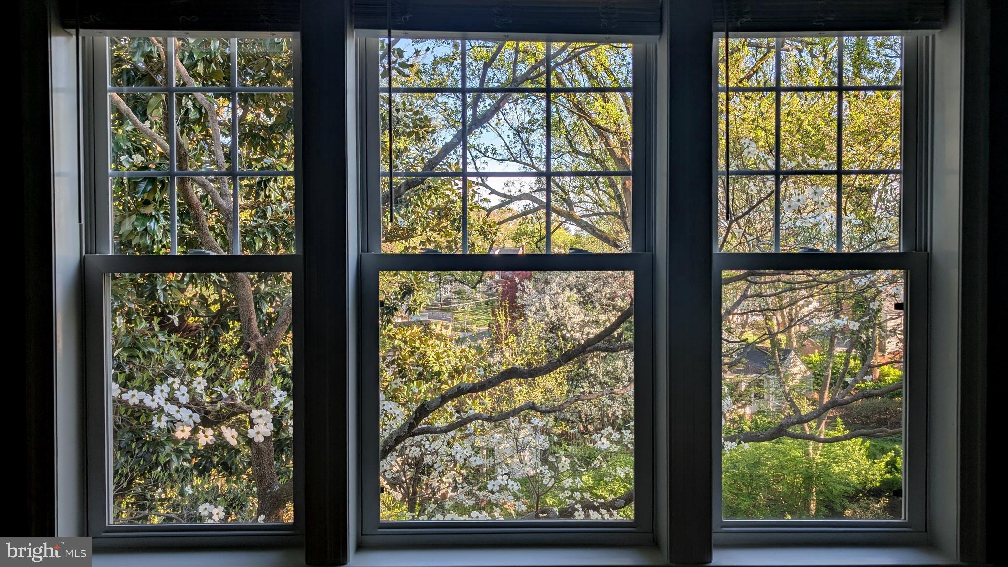 213 Crestmoor Circle Silver Spring, MD 20901 - Photo 38 of 42 View from the family room windows in Spring