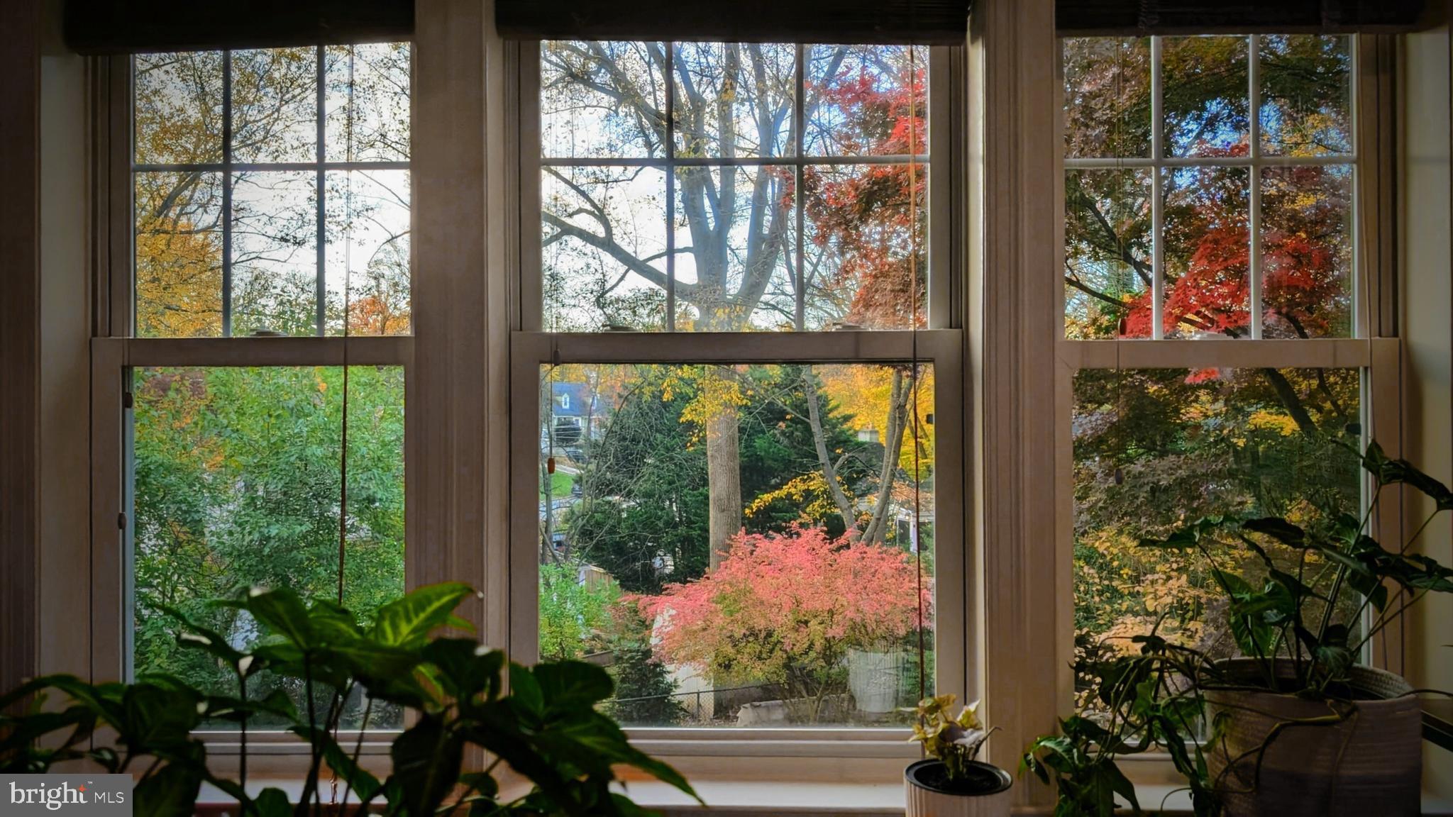 213 Crestmoor Circle Silver Spring, MD 20901 - Photo 40 of 42 View from the family room windows in Fall