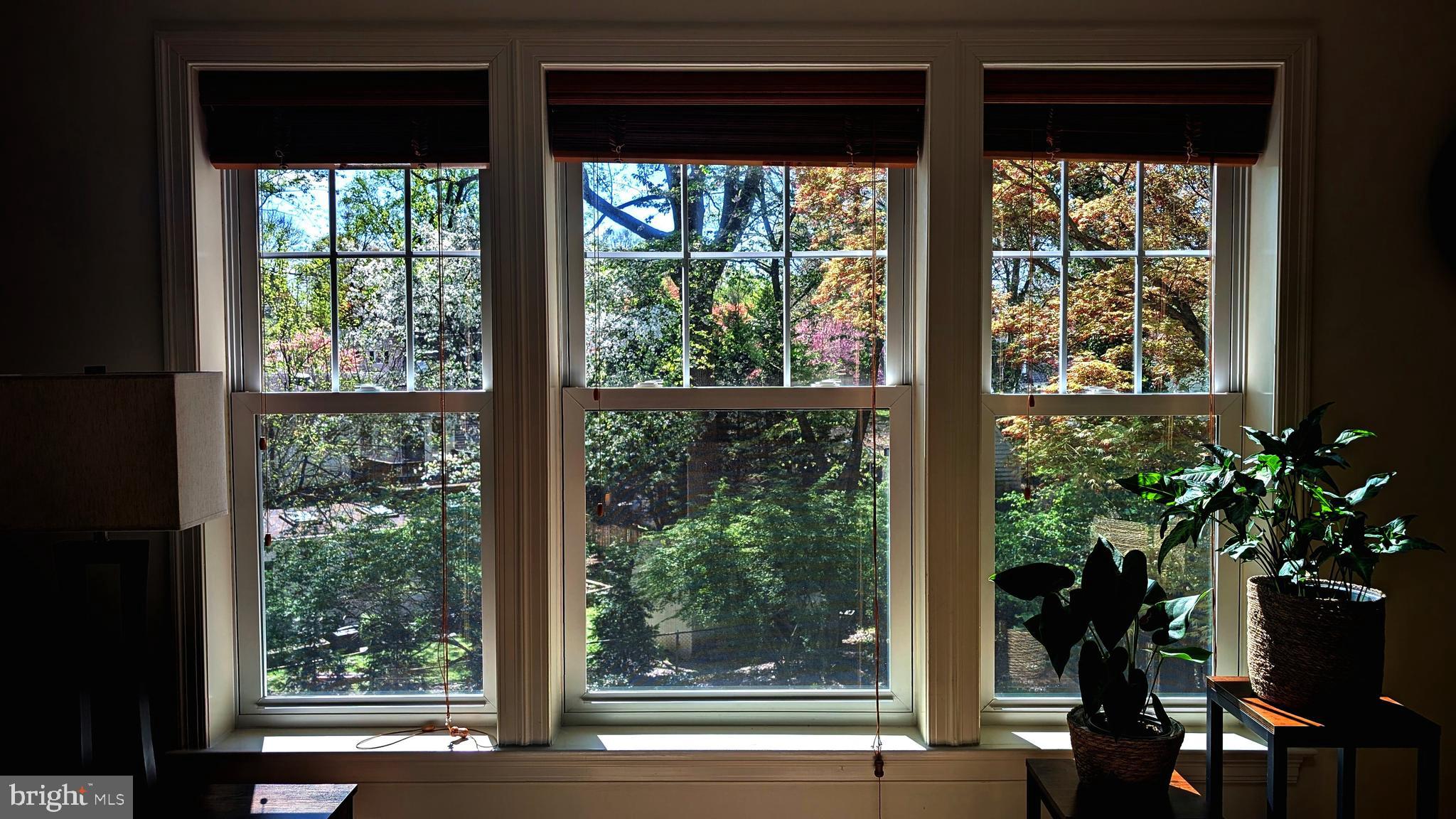 213 Crestmoor Circle Silver Spring, MD 20901 - Photo 41 of 42 View from the kitchen windows
