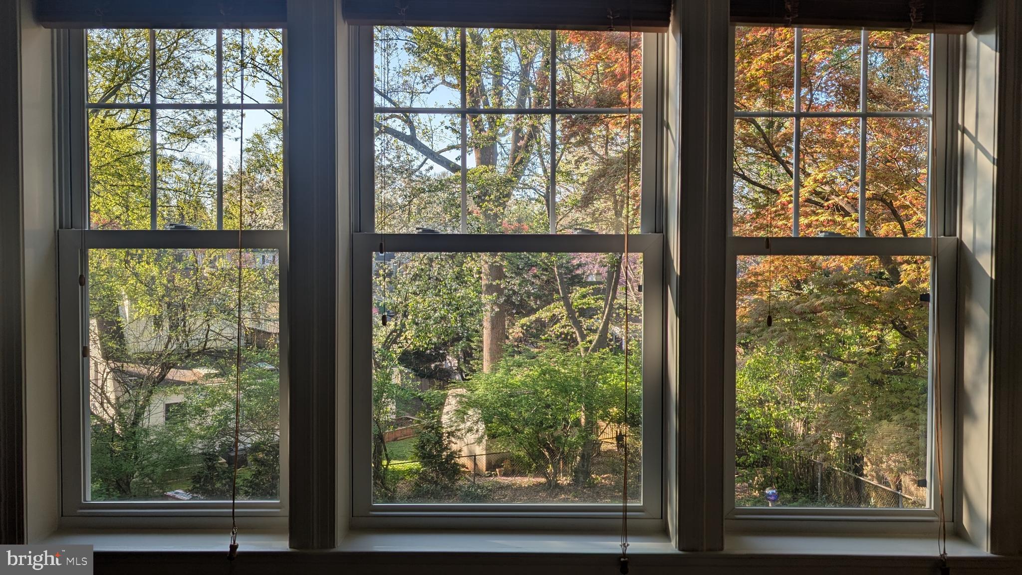 213 Crestmoor Circle Silver Spring, MD 20901 - Photo 42 of 42 View from the family room windows in Fall