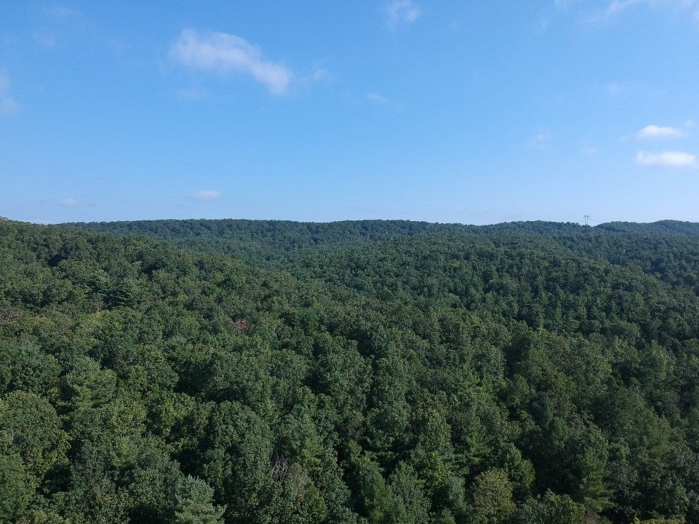 Tbd Grouse Ridge Road Max Meadows, VA 24360 - Photo 5 of 11 Gallery Image 5