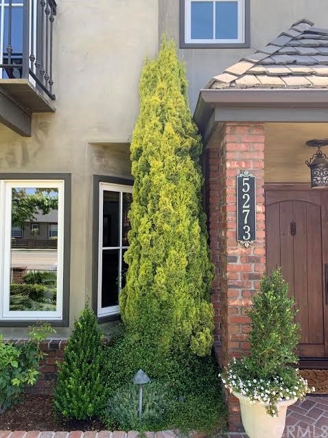 5273 Appian Way Long Beach, CA 90803 - Photo 3 of 34 a plant that is in front of a door