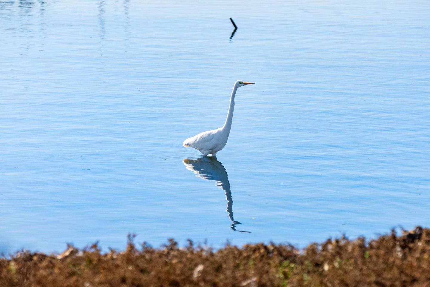 7891 Moss Landing Road Moss Landing, CA 95039 - Photo 53 of 59 Gallery Image 53