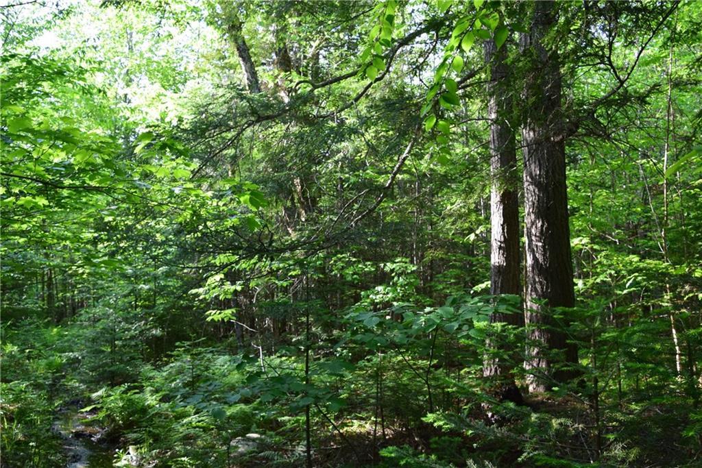 On Oliver Hill Road Garland, ME 04939 - Photo 1 of 28 Photo