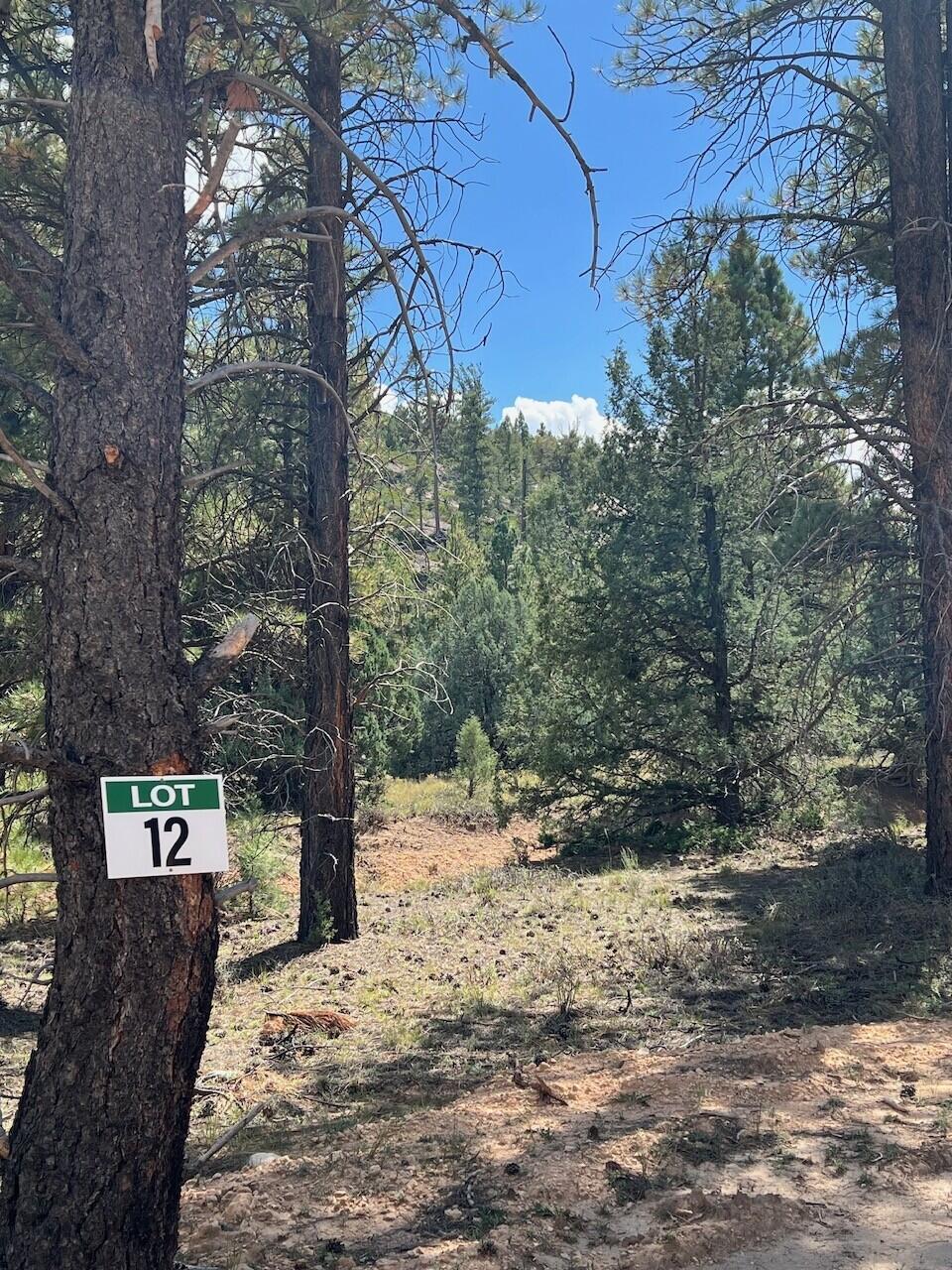 Legacy land