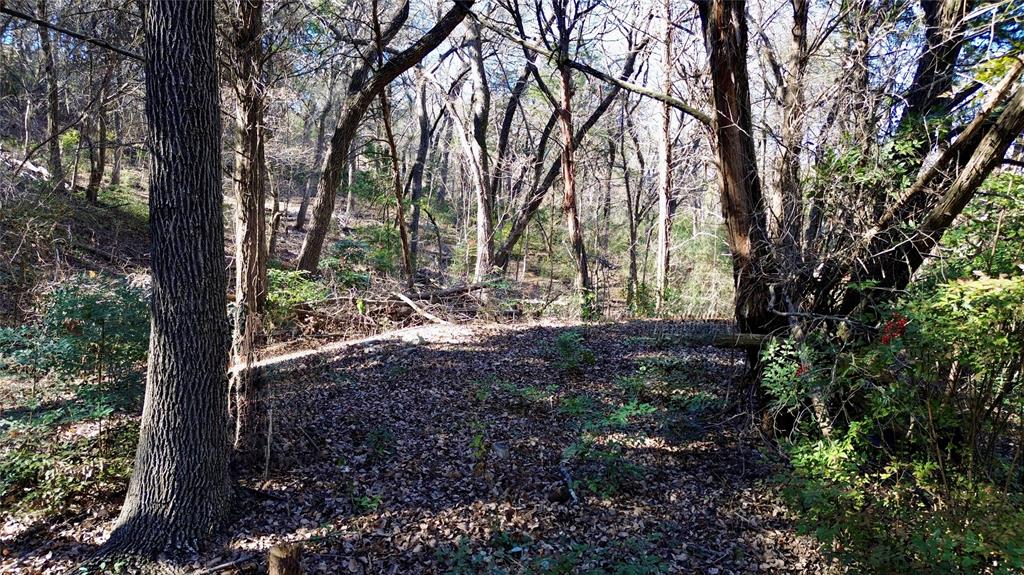 1917 Juniper Ridge Road Cedar Hill, TX 75104 - Photo 11 of 23 a view of forest