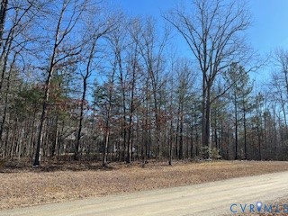 0 Ancient Acres Road Beaverdam, VA 23015 - Photo 11 of 15 a view of a trees in a yard