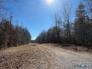 0 Ancient Acres Road Beaverdam, VA 23015 - Photo 15 of 15 a view of outdoor space with trees