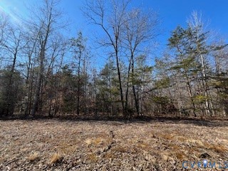 0 Ancient Acres Road Beaverdam, VA 23015 - Photo 8 of 15 a view of outdoor space and yard