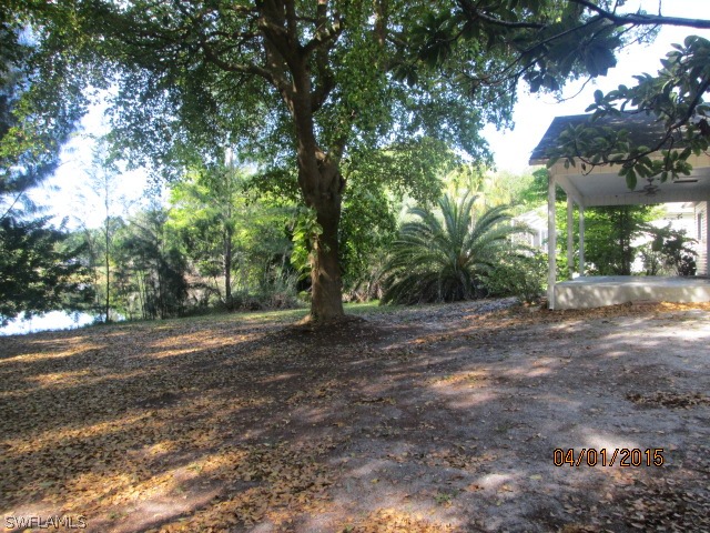 5615 Marina Road Bokeelia, FL 33922 - Photo 12 of 12 a view of a tree in the middle of a yard