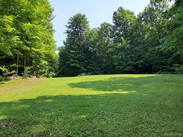 4246 East Farrand Road Clio, MI 48420 - Photo 9 of 11