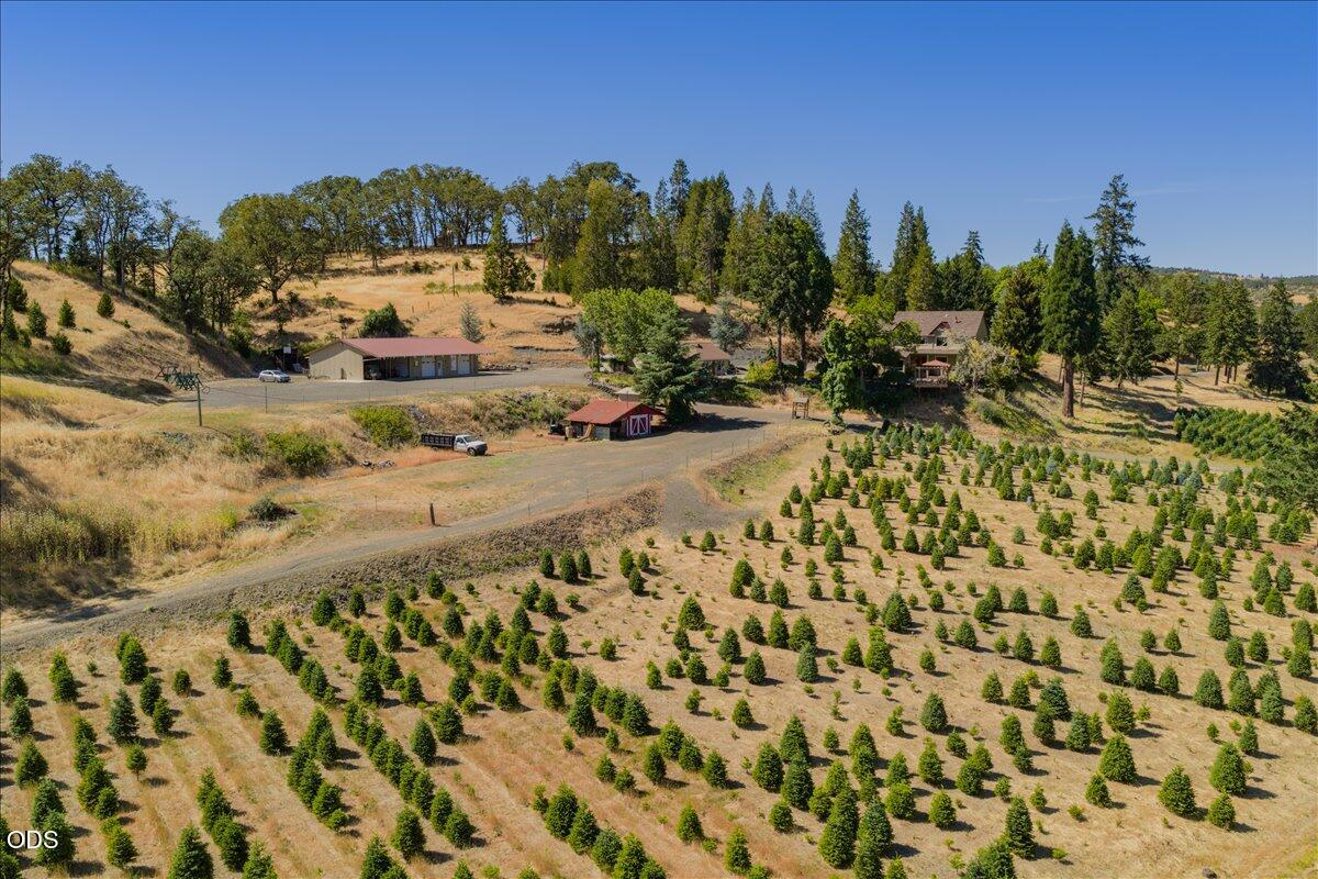 106 Green Valley Road Oakland, OR 97462 - Photo 48 of 52