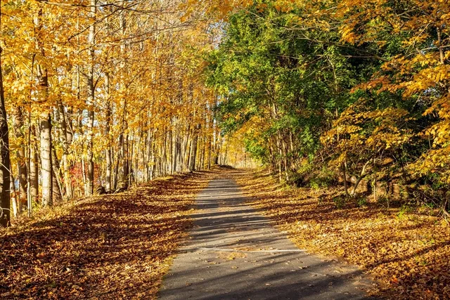 a view of outdoor space and yard