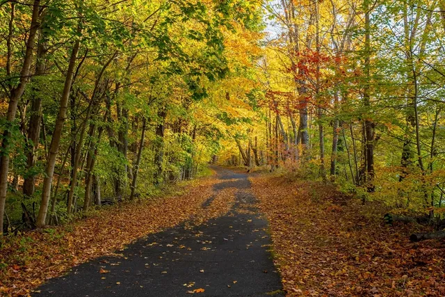 a view of backyard with green space