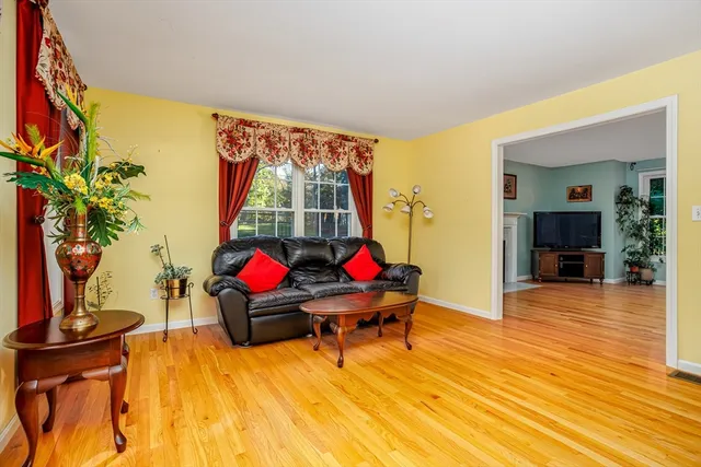 a living room with furniture and potted plants