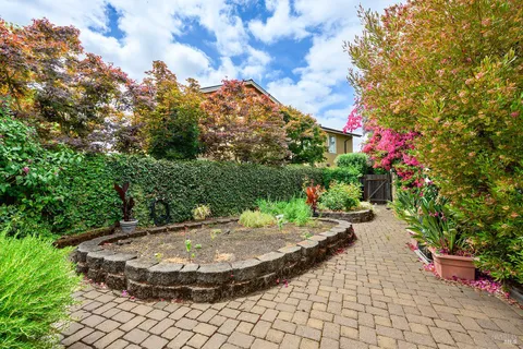 a view of a backyard