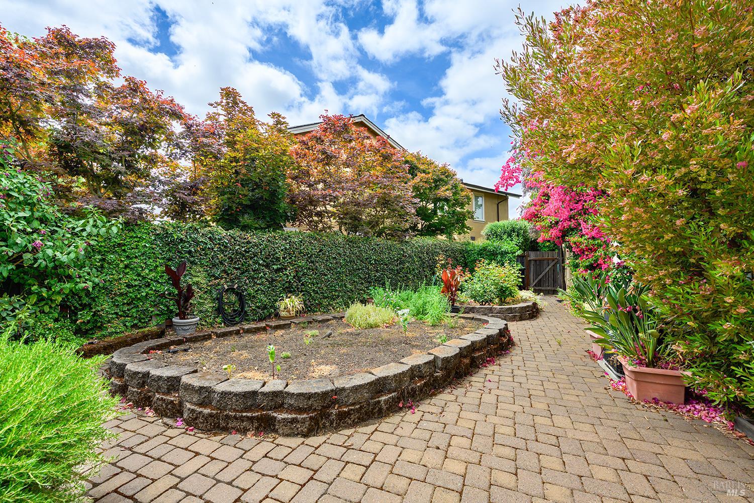 38 Maybeck Street Novato, CA 94949 - Photo 46 of 47 a view of a backyard