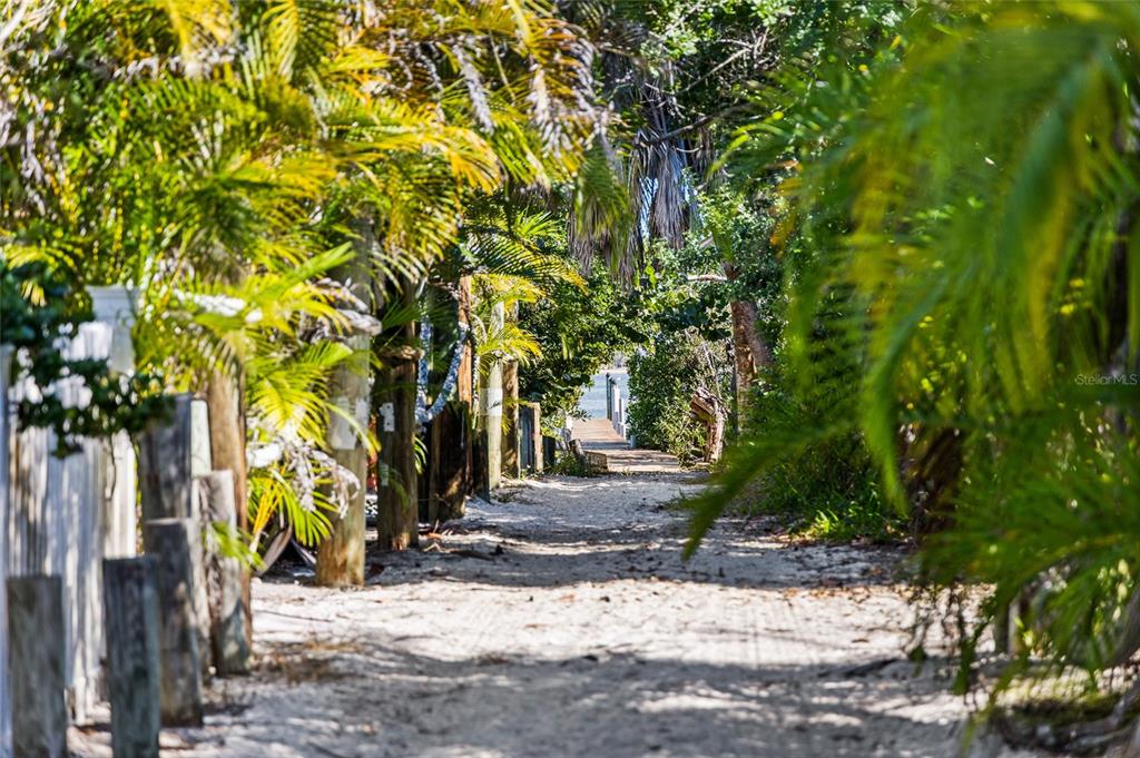 8550 Little Gasparilla Placida, FL 33946 - Photo 52 of 62 a view of a tree in front of a house