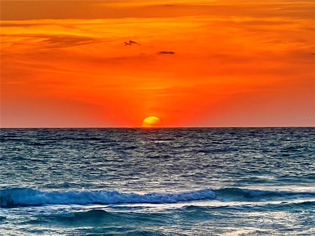 8550 Little Gasparilla Placida, FL 33946 - Photo 62 of 62 a view of ocean