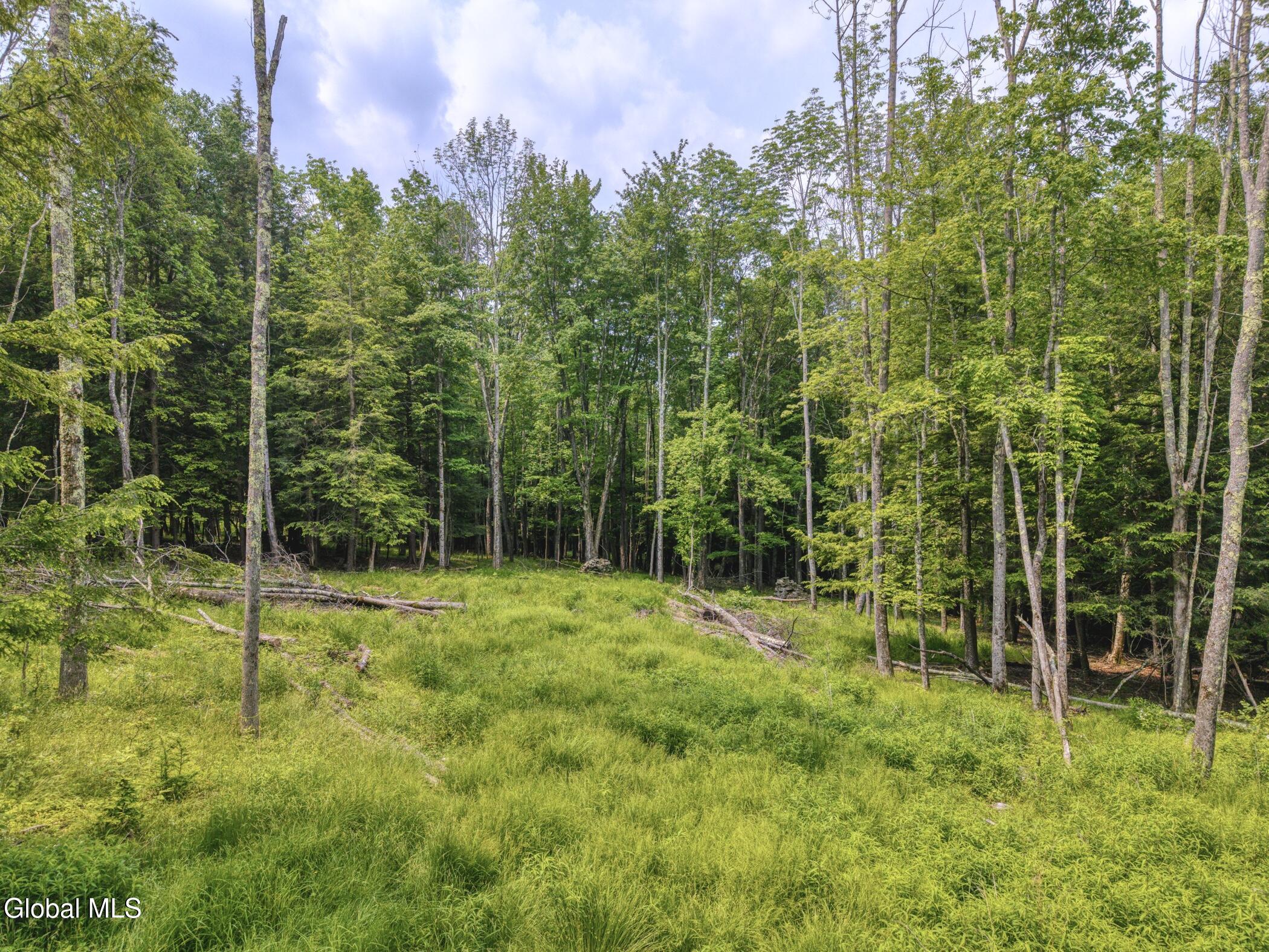 L36 Boulder Brook Road, Unit LOT # 12 Windham, NY 12496 - Photo 6 of 44 Image-73