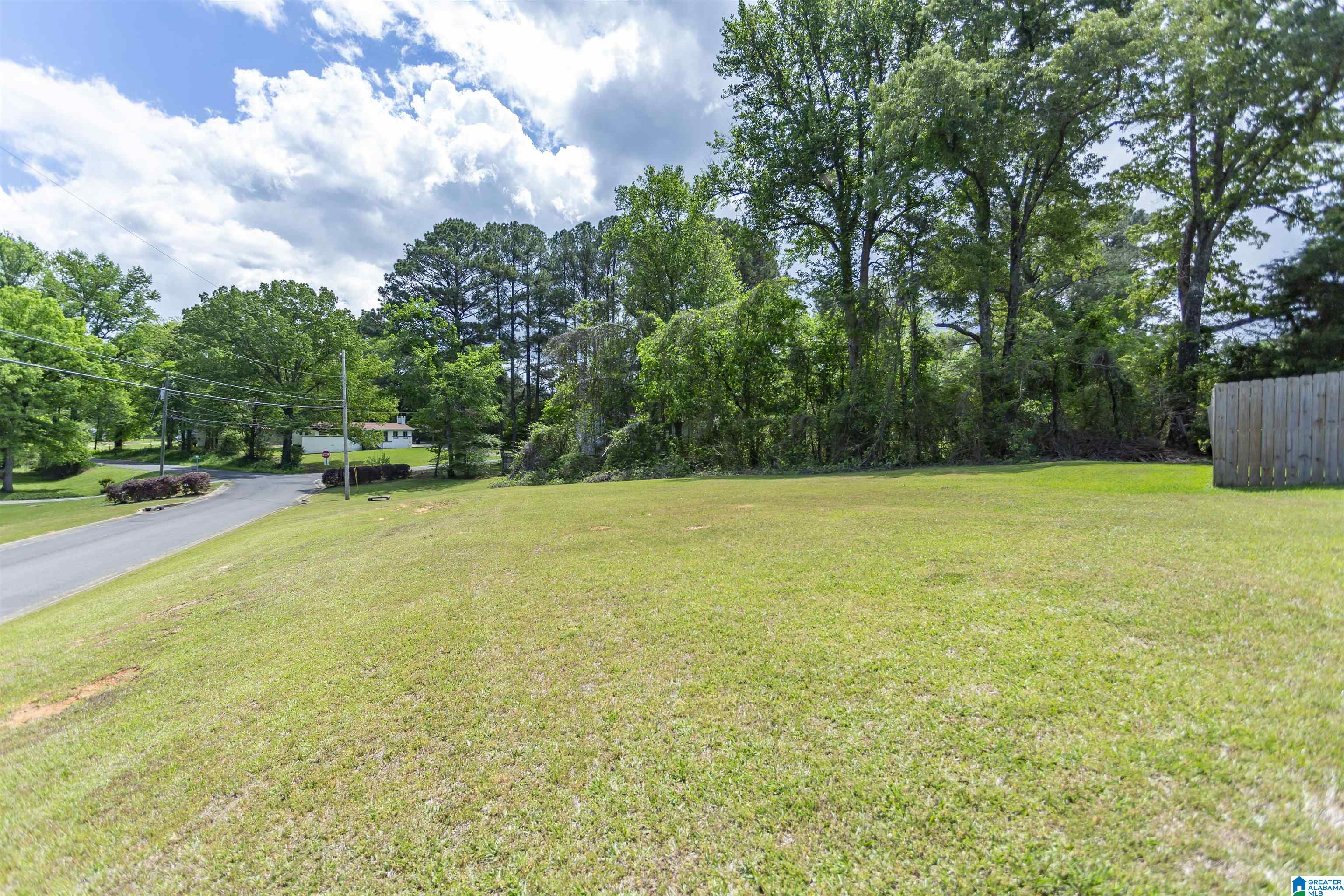 7504 Chase Way Bessemer, AL 35023 - Photo 6 of 46