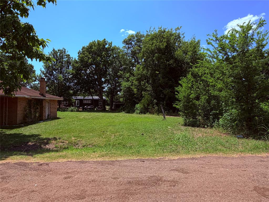 690 County Road Brookston, TX 75421 - Photo 6 of 10 Expansive green lawn with mature trees providing natural screening