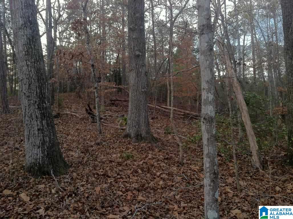102 Hickory Way, Unit 56 ACRES Dadeville, AL 36853 - Photo 13 of 14