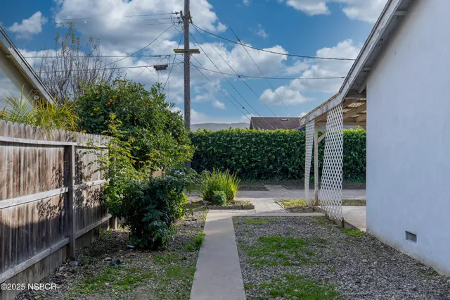 a view of a yard with plants and trees