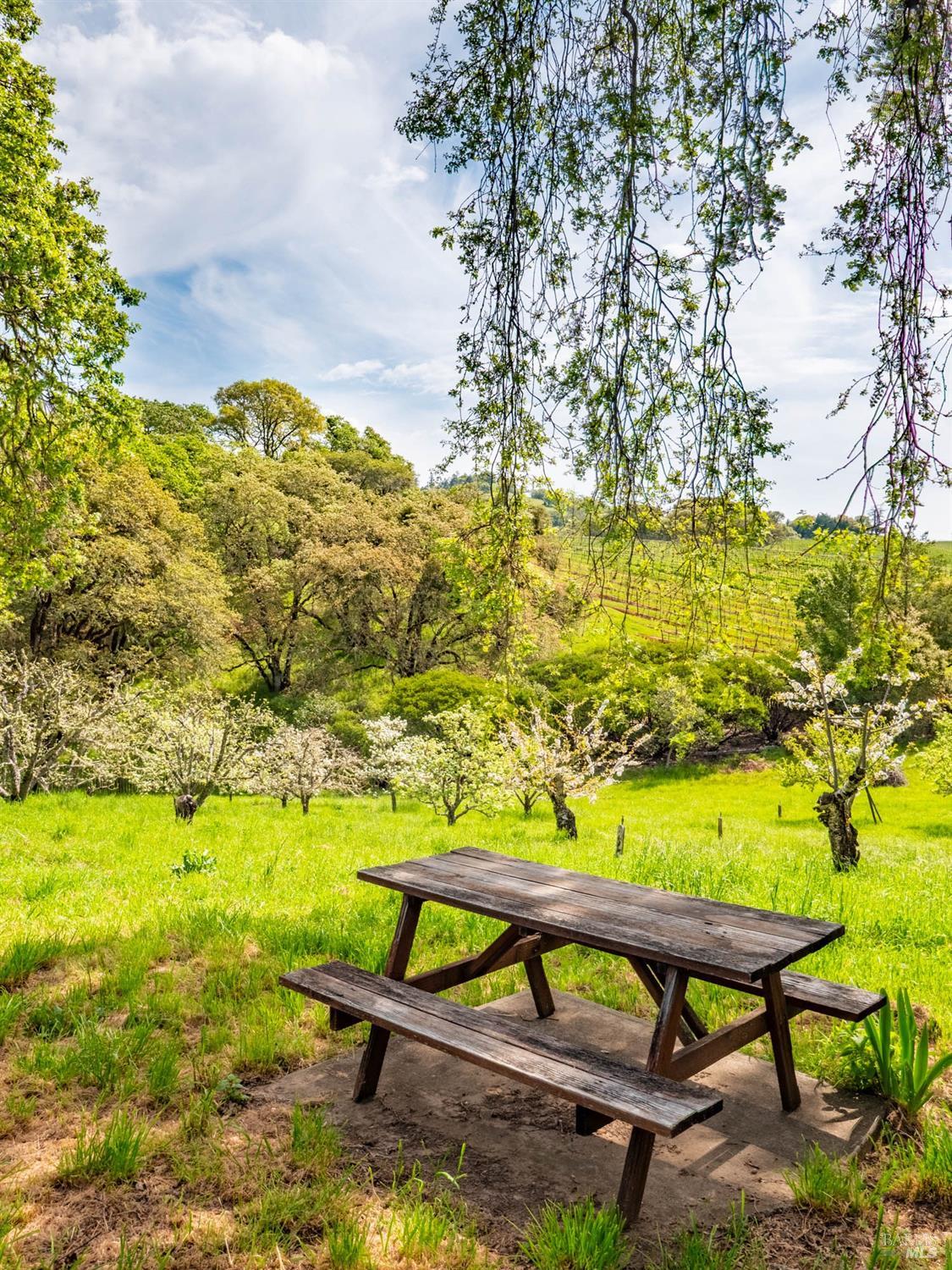 16121 Deer Meadows Road Boonville, CA 95415 - Photo 50 of 98