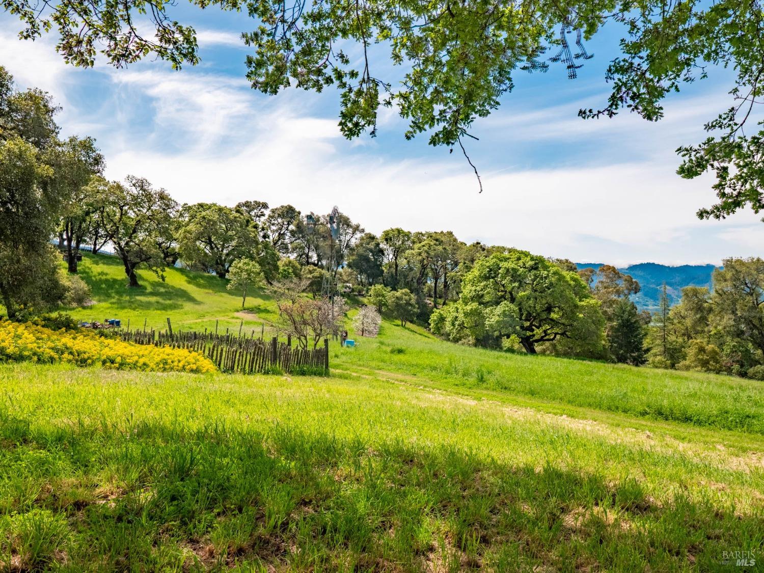 16121 Deer Meadows Road Boonville, CA 95415 - Photo 51 of 98