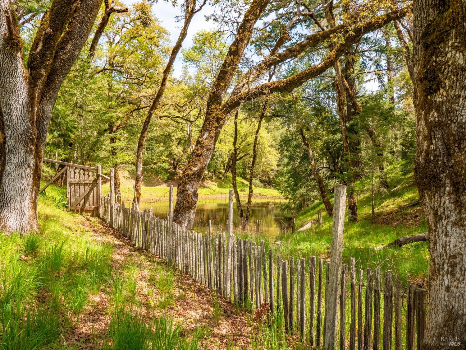 16121 Deer Meadows Road Boonville, CA 95415 - Photo 65 of 98