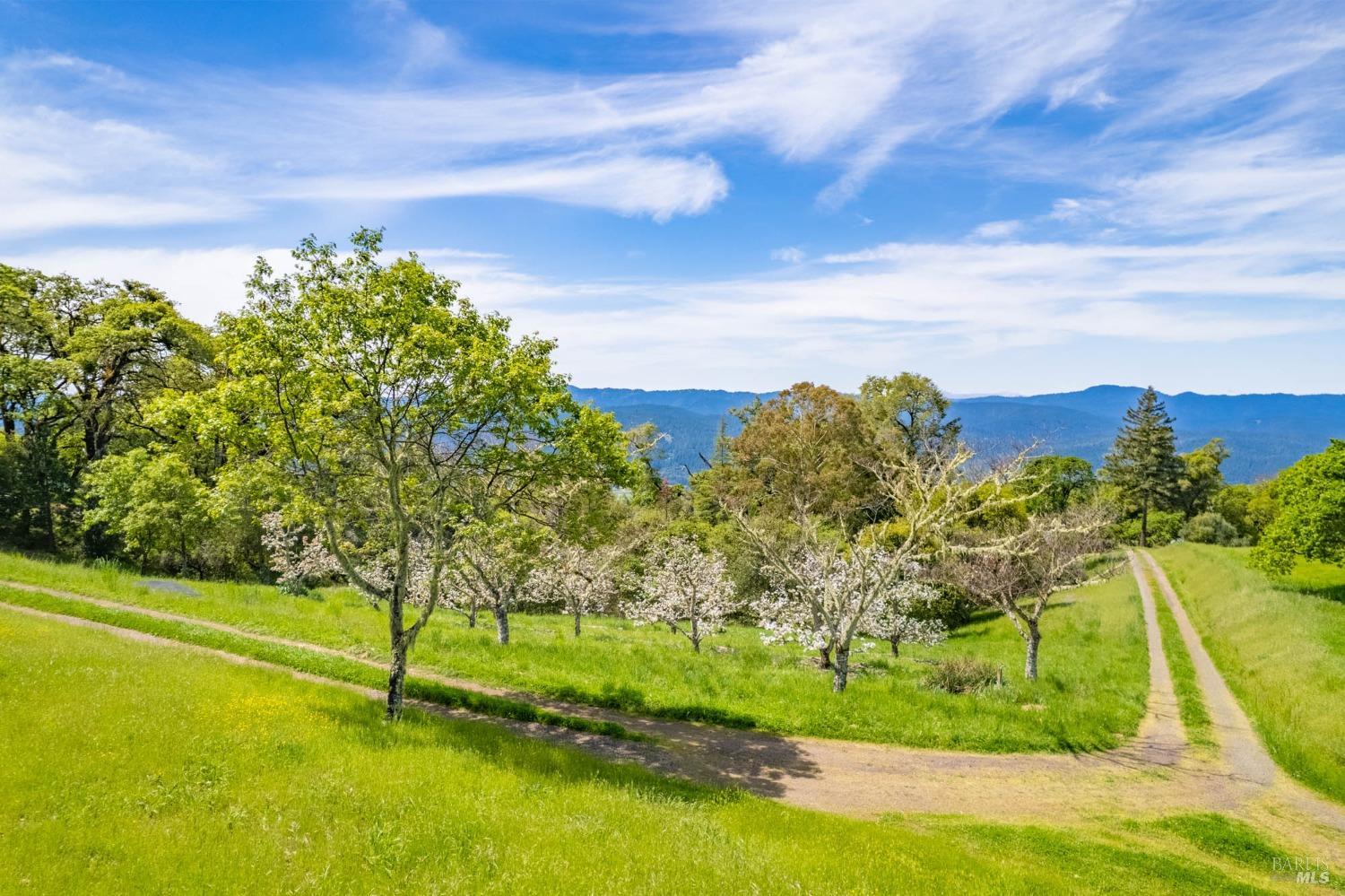 16121 Deer Meadows Road Boonville, CA 95415 - Photo 85 of 98