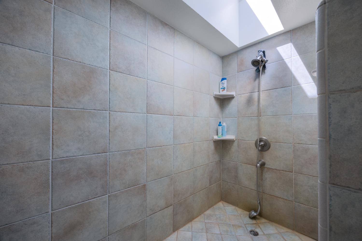 2070 King Of The Mountain Road Pollock Pines, CA 95726 - Photo 15 of 53 a bathroom with a shower